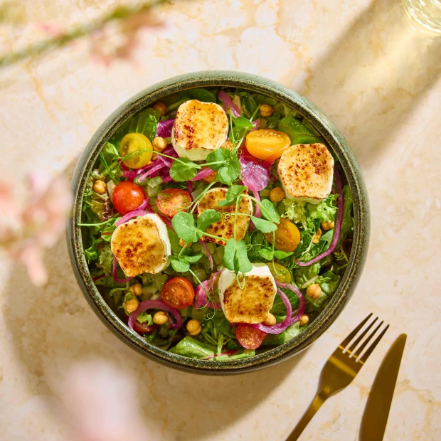 TMT Salade Geitenkaas (1)